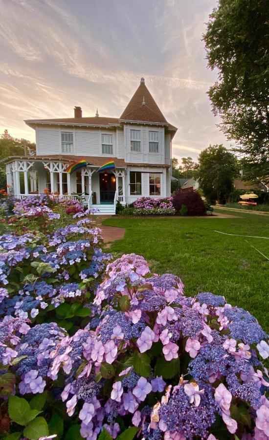 Stowaway Hotel Provincetown Zewnętrze zdjęcie